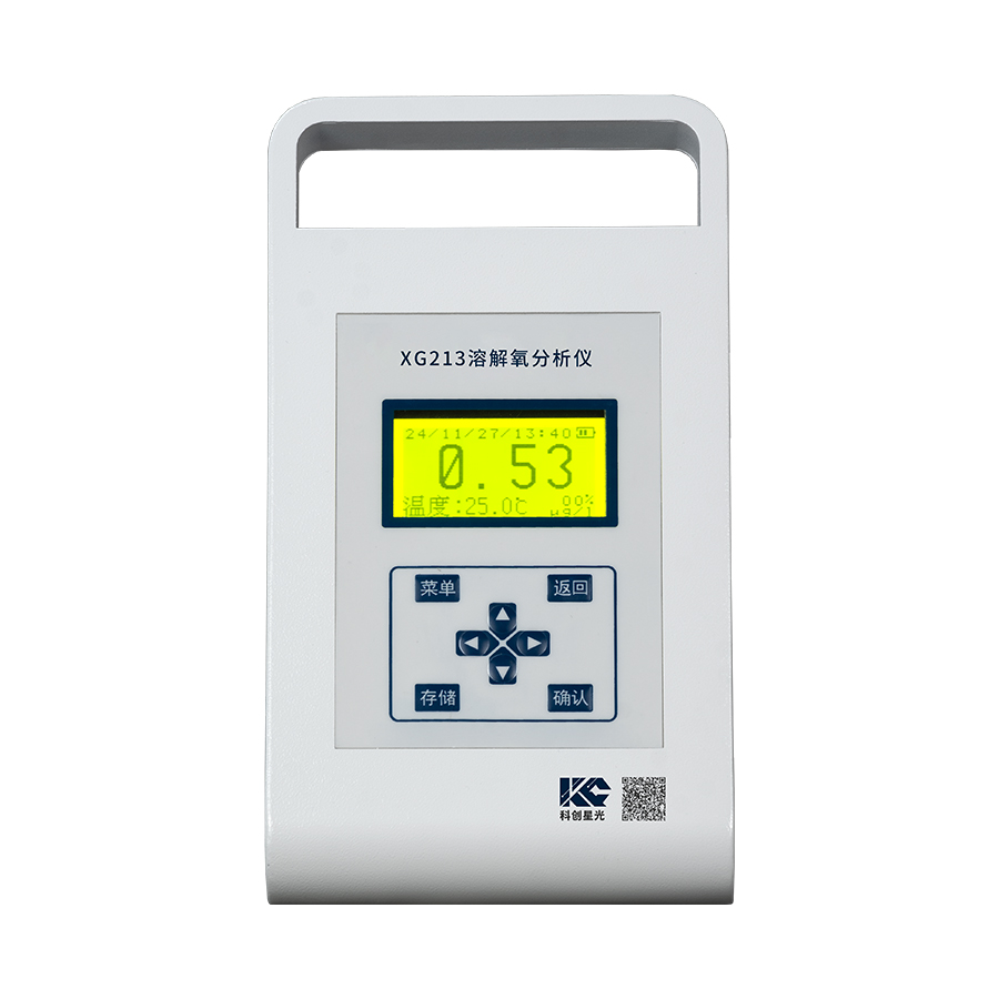 便攜式溶解氧分析儀(微克級(jí))